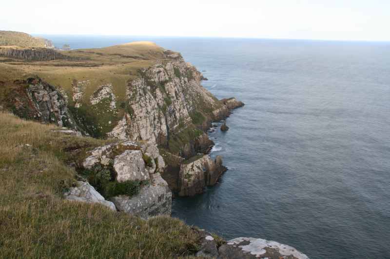 Nieuw-Zeeland 2011 - 1858